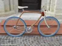ľгCarbon Wood Bike