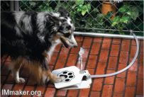 ΪƵԶˮDoggie Fountain