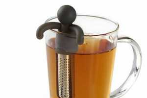 һȤζݲ蹤Buddy Tea Infuser