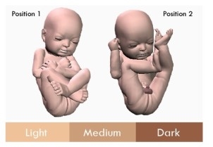 3d babies网站提供的胎儿模型根据顾客提供的3d彩超照片量身定制